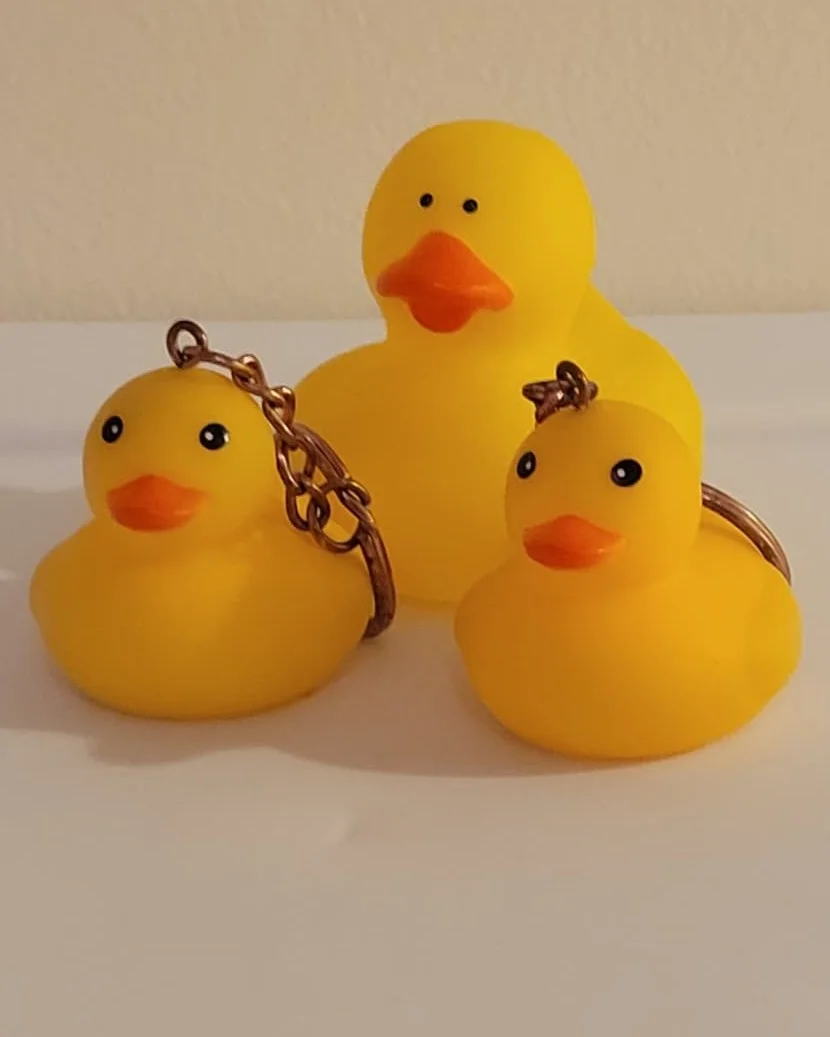 Rubber Duck - CDO (Chief Debugging Officer)